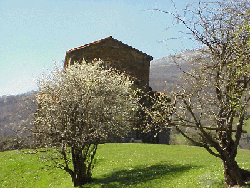Santa Cristina con las espineras en flor